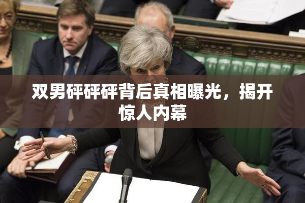 双男砰砰砰背后真相曝光，揭开惊人内幕