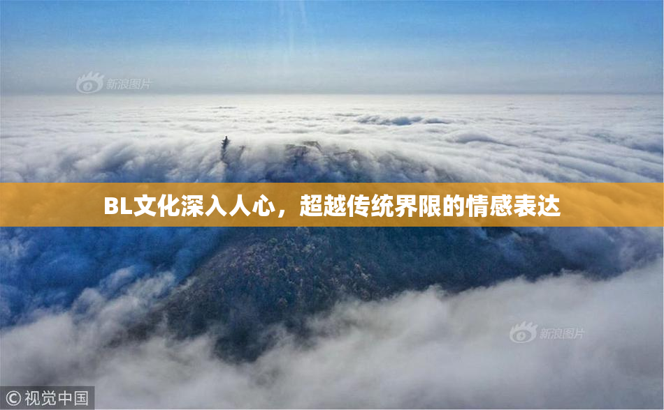 BL文化深入人心，超越传统界限的情感表达
