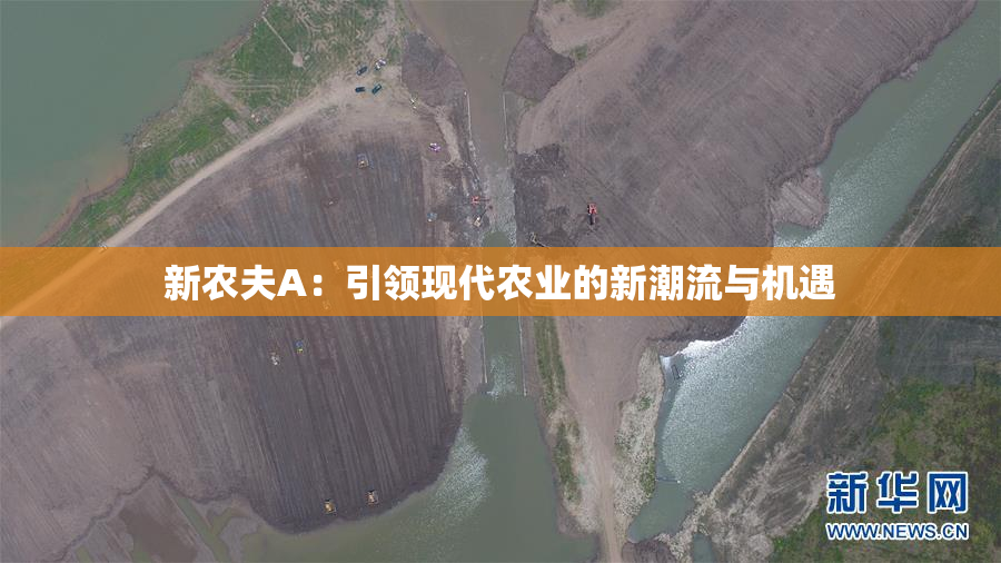 新农夫A：引领现代农业的新潮流与机遇
