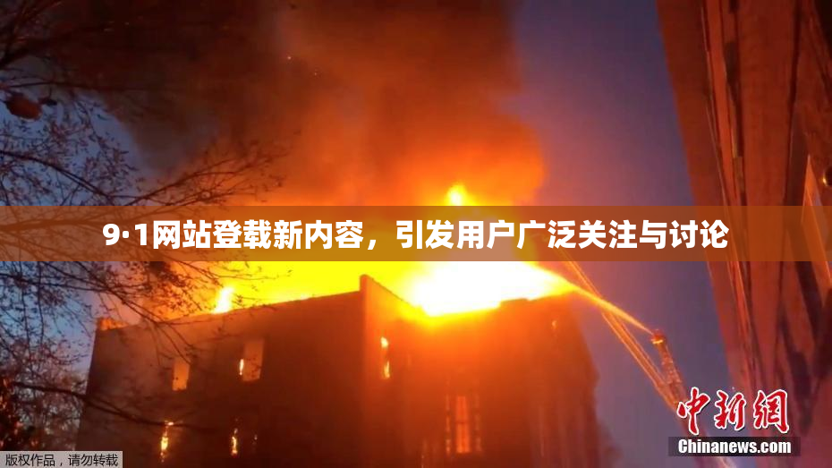 9·1网站登载新内容，引发用户广泛关注与讨论