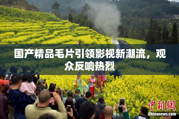 国产精品毛片引领影视新潮流，观众反响热烈