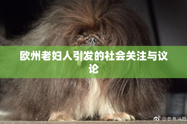 欧州老妇人引发的社会关注与议论