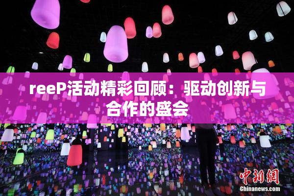 reeP活动精彩回顾：驱动创新与合作的盛会