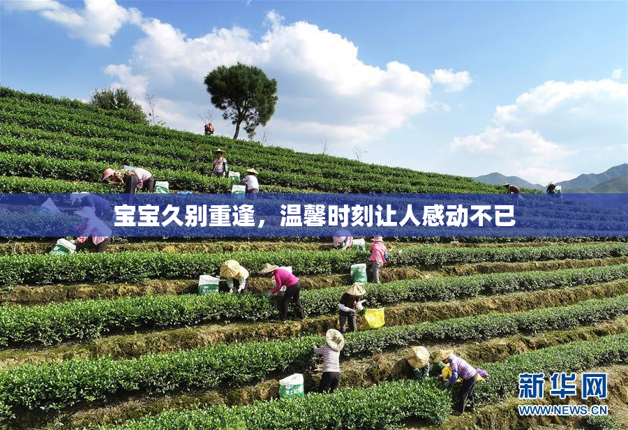 宝宝久别重逢，温馨时刻让人感动不已