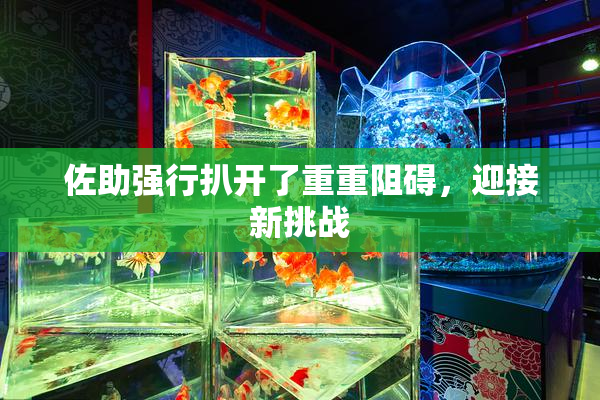 佐助强行扒开了重重阻碍，迎接新挑战