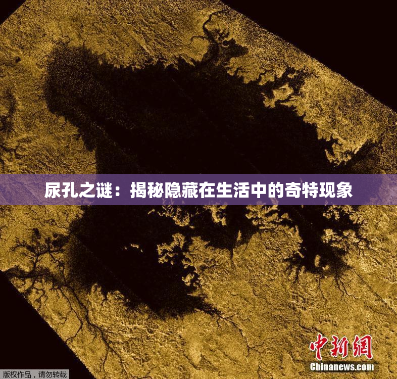 尿孔之谜：揭秘隐藏在生活中的奇特现象