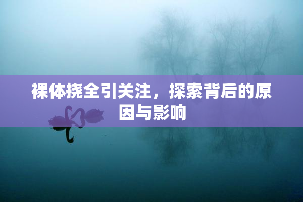 裸体挠全引关注，探索背后的原因与影响