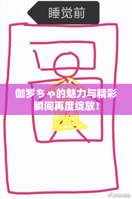 伽罗ちゃ的魅力与精彩瞬间再度绽放！