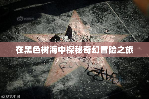 在黑色树海中探秘奇幻冒险之旅