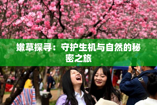 嫩草探寻：守护生机与自然的秘密之旅