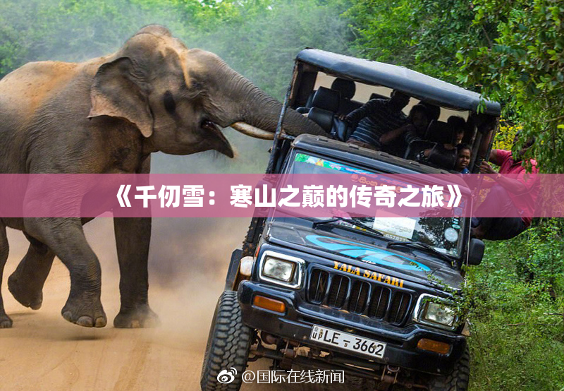 《千仞雪：寒山之巅的传奇之旅》