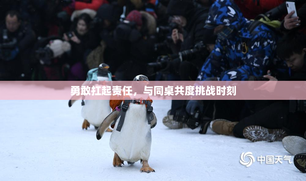 勇敢扛起责任，与同桌共度挑战时刻