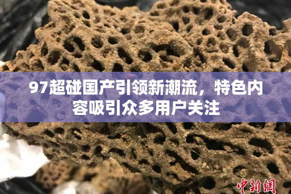 97超碰国产引领新潮流，特色内容吸引众多用户关注