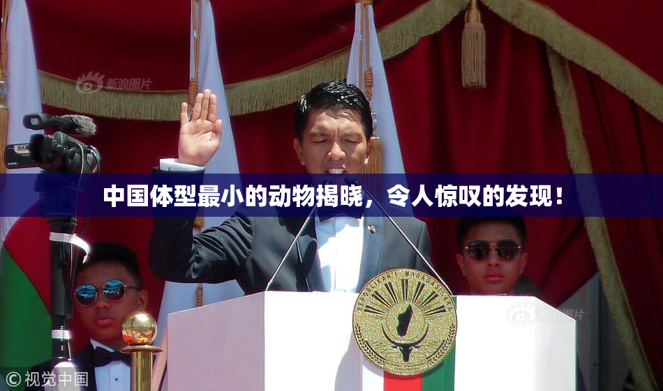 中国体型最小的动物揭晓，令人惊叹的发现！