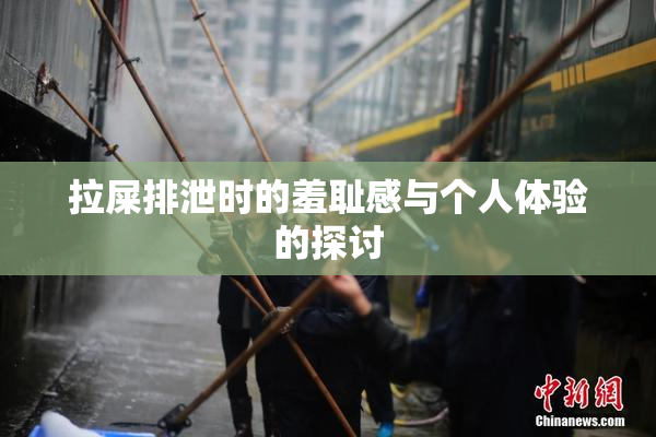 拉屎排泄时的羞耻感与个人体验的探讨