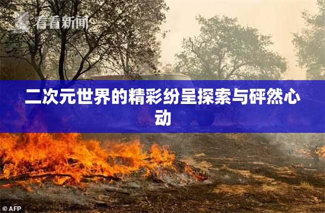 二次元世界的精彩纷呈探索与砰然心动