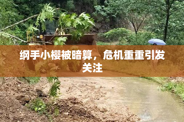 纲手小樱被暗算，危机重重引发关注