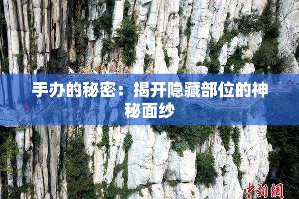手办的秘密：揭开隐藏部位的神秘面纱