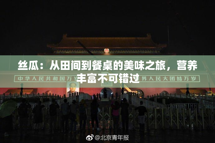丝瓜：从田间到餐桌的美味之旅，营养丰富不可错过