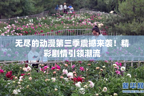 无尽的动漫第三季震撼来袭！精彩剧情引领潮流