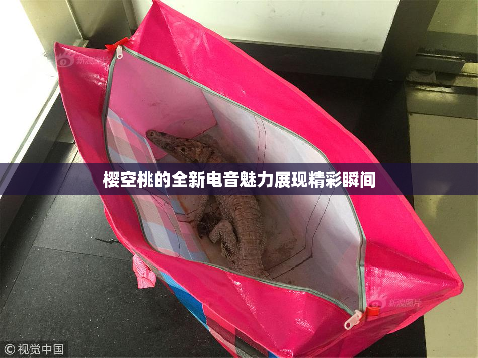樱空桃的全新电音魅力展现精彩瞬间