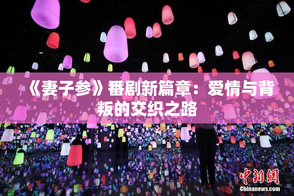 《妻子参》番剧新篇章：爱情与背叛的交织之路