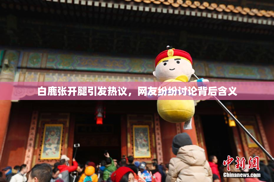白鹿张开腿引发热议，网友纷纷讨论背后含义