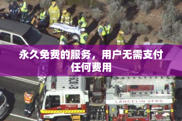 永久免费的服务，用户无需支付任何费用