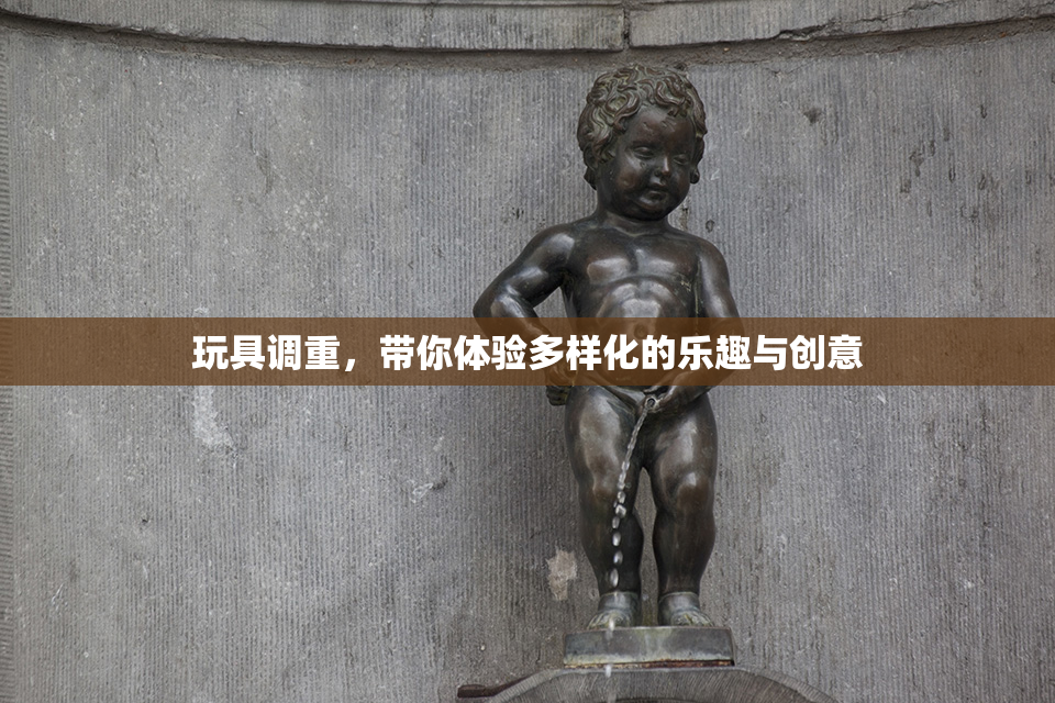 玩具调重，带你体验多样化的乐趣与创意