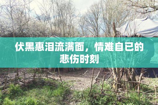 伏黑惠泪流满面，情难自已的悲伤时刻
