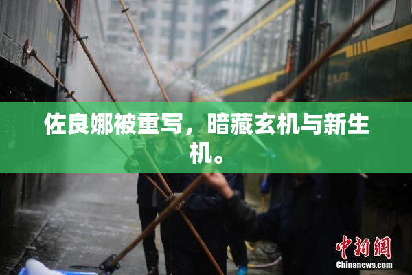 佐良娜被重写，暗藏玄机与新生机。