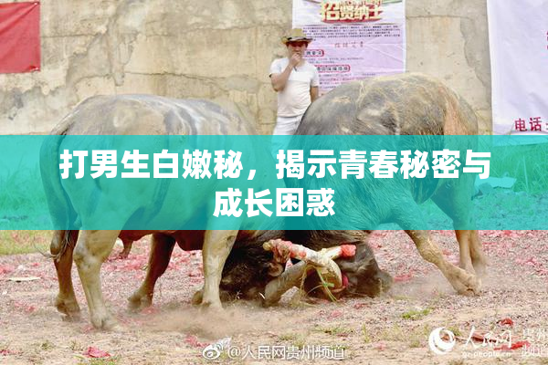 打男生白嫩秘，揭示青春秘密与成长困惑