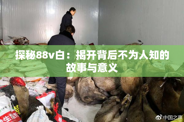 探秘88v白：揭开背后不为人知的故事与意义