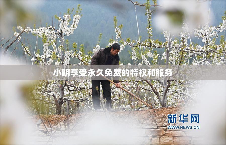 小明享受永久免费的特权和服务