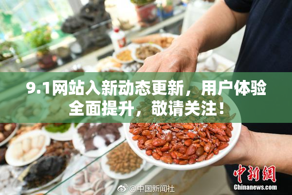 9.1网站入新动态更新，用户体验全面提升，敬请关注！