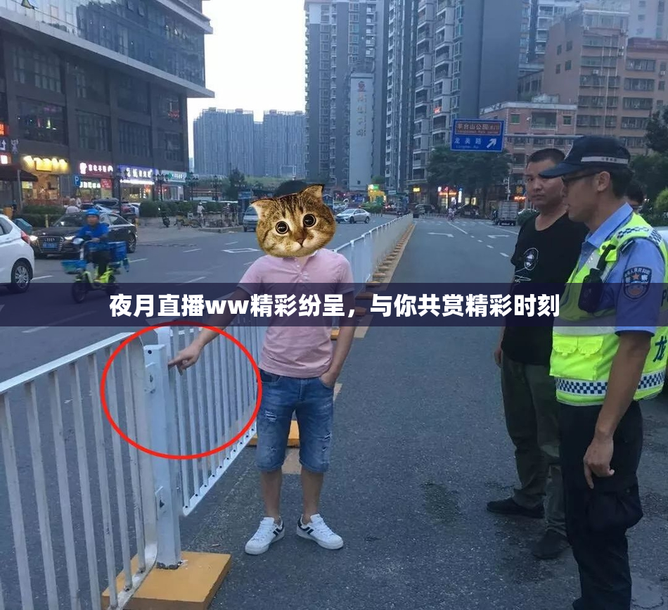 夜月直播ww精彩纷呈，与你共赏精彩时刻