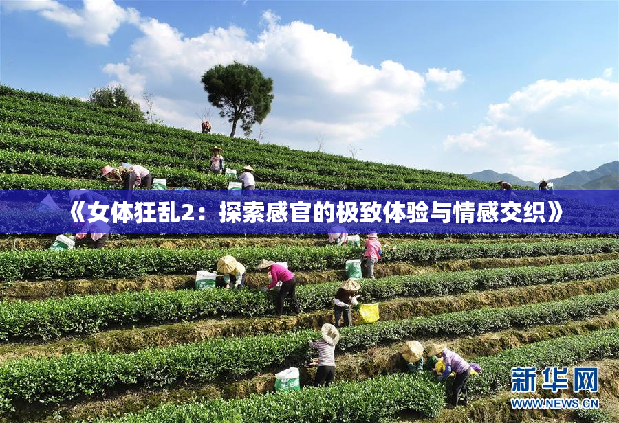 《女体狂乱2：探索感官的极致体验与情感交织》