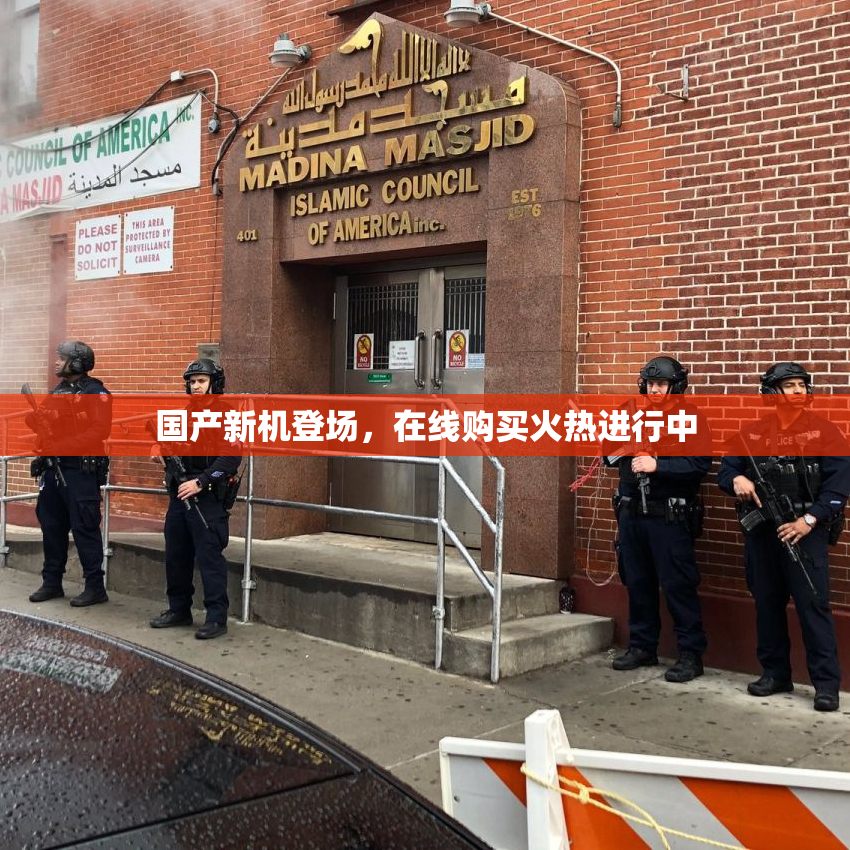 国产新机登场，在线购买火热进行中