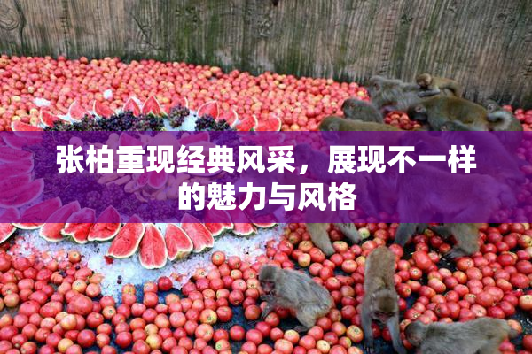 张柏重现经典风采，展现不一样的魅力与风格