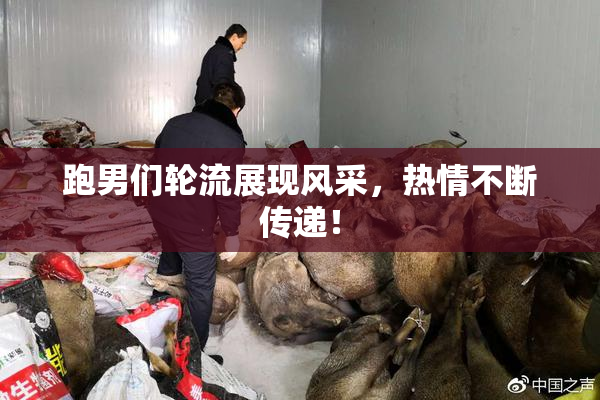 跑男们轮流展现风采，热情不断传递！