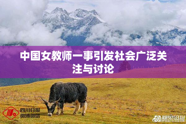 中国女教师一事引发社会广泛关注与讨论