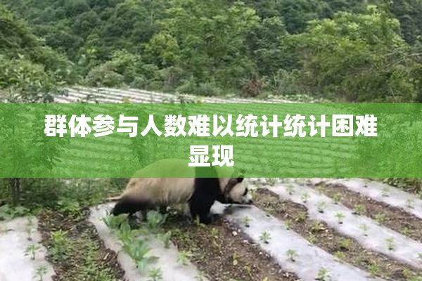 群体参与人数难以统计统计困难显现
