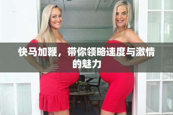 快马加鞭，带你领略速度与激情的魅力
