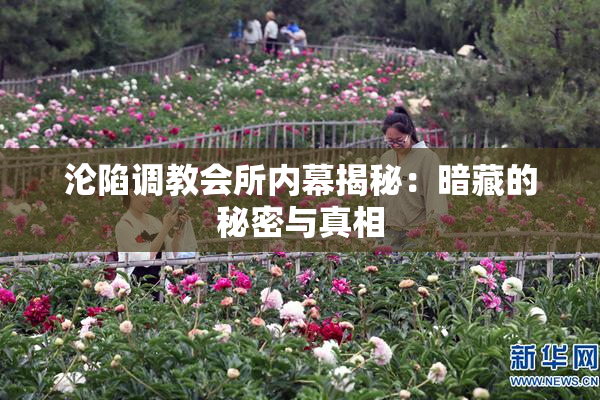 沦陷调教会所内幕揭秘：暗藏的秘密与真相