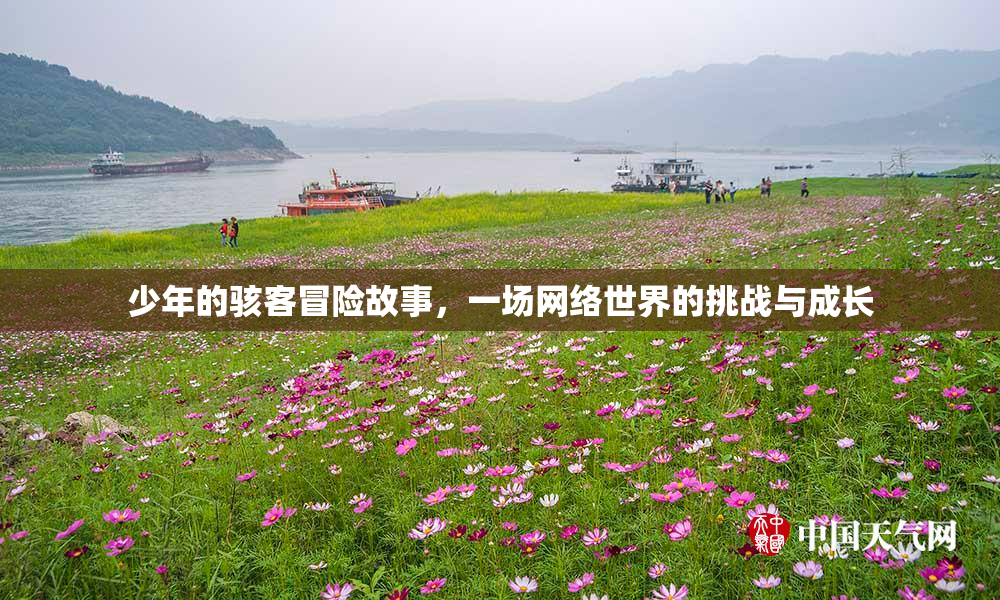 少年的骇客冒险故事，一场网络世界的挑战与成长