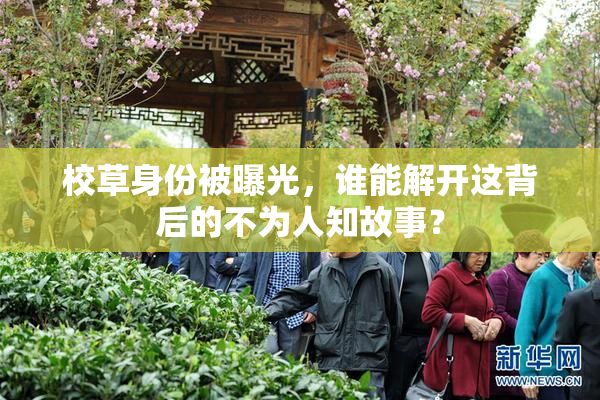 校草身份被曝光，谁能解开这背后的不为人知故事？