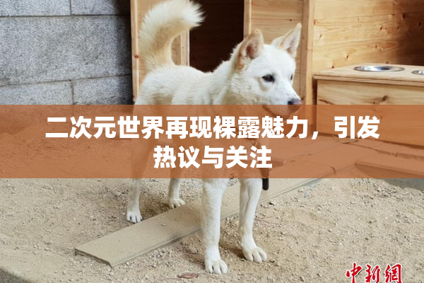 二次元世界再现裸露魅力，引发热议与关注