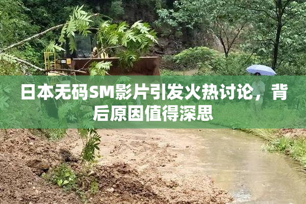 日本无码SM影片引发火热讨论，背后原因值得深思