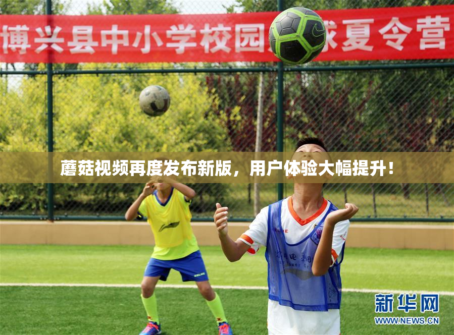 蘑菇视频再度发布新版，用户体验大幅提升！