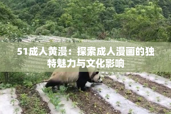 51成人黄漫：探索成人漫画的独特魅力与文化影响